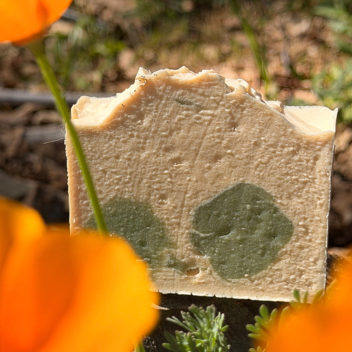 Close-up of a piece of Apple blossom and lavender goat milk soap on leaves surrounded by orange poppy flowers.