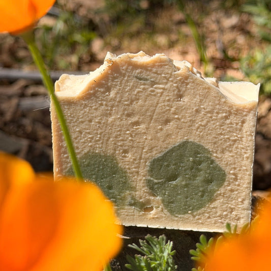 Close-up of a piece of Apple blossom and lavender goat milk soap on leaves surrounded by orange poppy flowers.