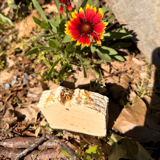 Red and yellow flower growing among rocks and dry leaves with a bar of wildflower goat milk soap and dried flowers on top ...the soap is sitting on dried leaves.
