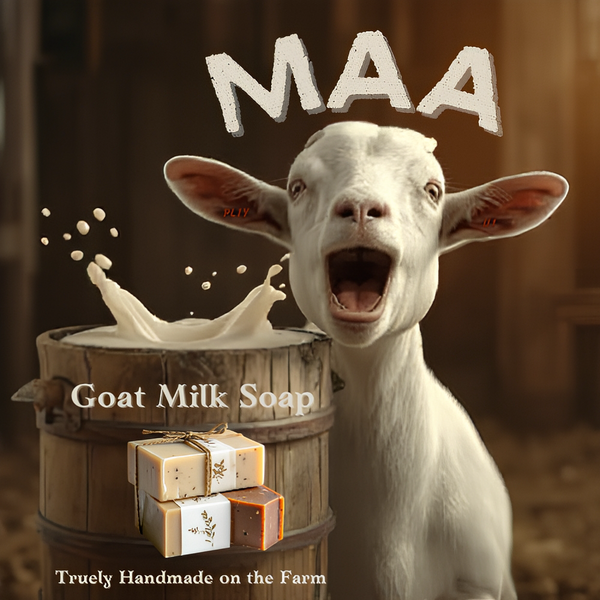 Logo for MAA - Goat with a bucket of milk and goat milk soap bars, labeled 'MAA Goat Milk Soap'. plus tatoo's in each ear 